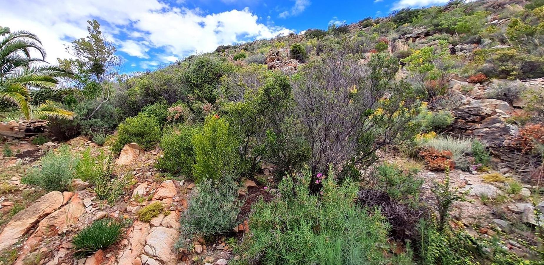 Apartamento Montagu Little Sanctuary - Hot Spring Access At Reduced Price Habitación foto